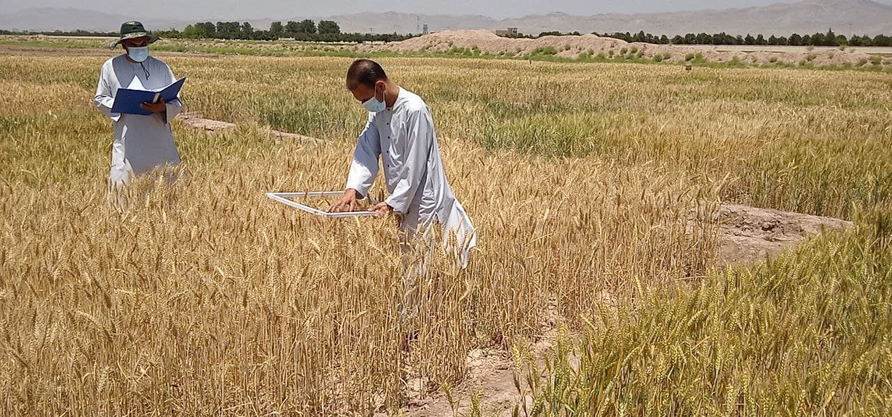 Agriculture Development